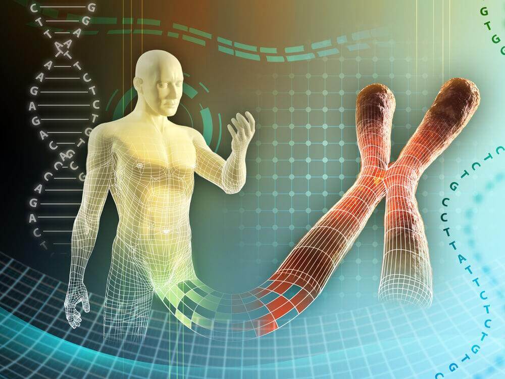 Кожна людина має свою унікальну, генетичну інформацію, яка записана у вигляді послідовності нуклеотидів, з яких складається нитка ДНК
